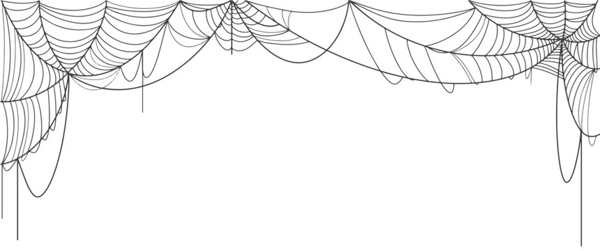 Spider Web Line Art Vector