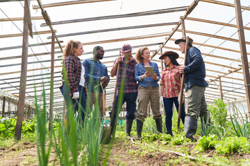 Multiracial farmers discussing over digital tablet at greenhouse