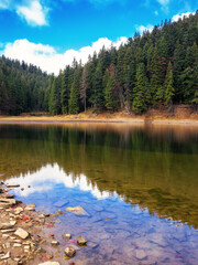 spruce forest reflection on the water surface of a lake. mountainous landscape in autumn on a sunny day