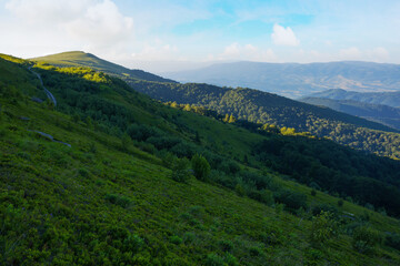 mountainous nature background. summer scenery in morning light. rolling landscape of runa mountain with grassy slopes