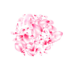 Fototapeta premium Spring tree flowers parts, airy flying petals