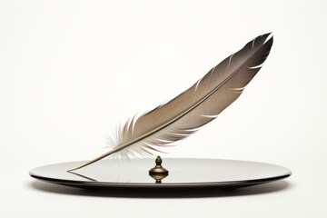 Feather and empty space on the table. The concept of easy choice. Rebalancing investment portfolio