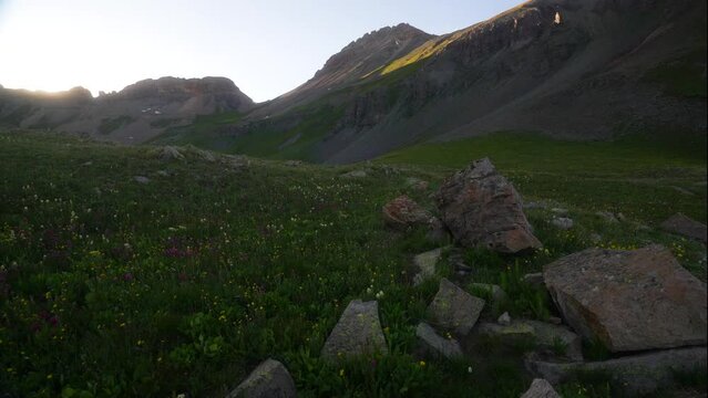 Cinematic dolly jib up breeze colorful wildflower Colombine Colorado last Dusk sunset golden hour light Ice Lake Basin Silverton Telluride Ouray Trailhead top of peak Rocky Mountains landscape