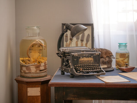 vintage office of zoologist explorer scientist with retro typewriter and cobra snake and other animals in a jar of formalin