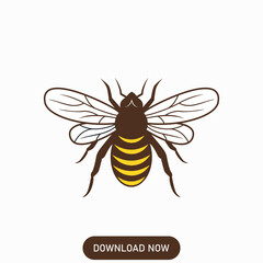 vector cartoon bee. bee concept logo design. isolated white background