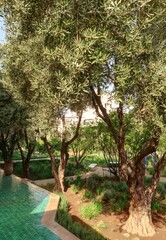 jardin oriental et architecture arabe au Maroc