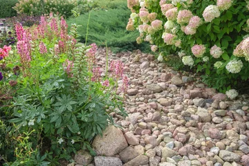 Foto op Plexiglas Bestemmingen Hydrangea paniculata and conifer. Beautiful Garden path made of natural stones, gravel. Huge landscaping trend. Lawn, shrubbery in the backyard. Scenic of nice landscaped. Walkway. Green home design