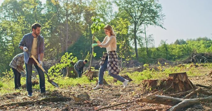 Portrait of handsome young man with beard planting trees with charming cute Caucasian woman looking at camera and smiling. Lovely couple and volunteers participating in forestation work.