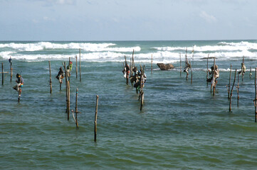 seagulls on the beach