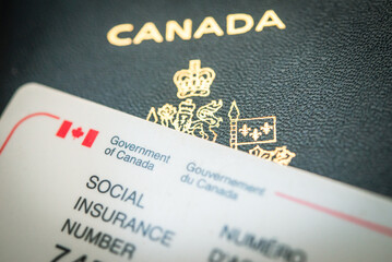 Kanadyjska karta SIN, ubezpieczenie spoleczne. Social Insurance Number.  Obywatel kanady. Obywatelstwo. Commonwealth.  - obrazy, fototapety, plakaty