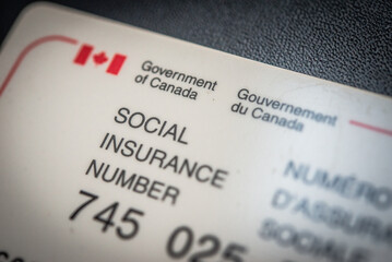 Kanadyjska karta SIN social insurance number. Obywatel kanady. Obywatelstwo. Commonwealth.  - obrazy, fototapety, plakaty