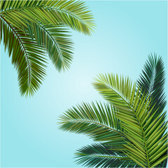 Vector illustration, coconut leaf composition.