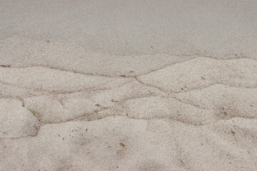 Texture of sea wet sand.