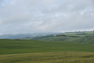 Obraz premium Montalcino - Italy