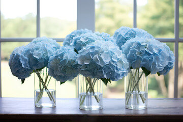 Indulge In The Serene Beauty Of Hydrangea Banners In Shades Of Blue