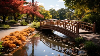 Fototapeta premium bridge in autumn