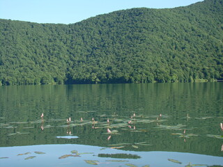 lake and mountains