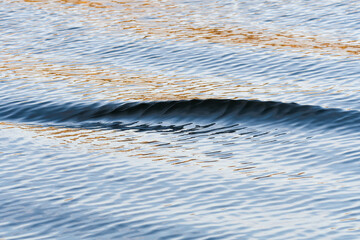 Welle an der Ostsee am Abend