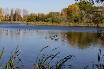lake in the autumn