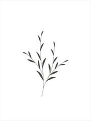 wild flower and plant line art botanical illustration. Trendy greenery hand drawn black ink sketche. Modern design for logo, wall art, branding and packaging.