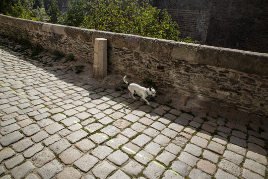 MARCHE &Agrave; L'OMBRE