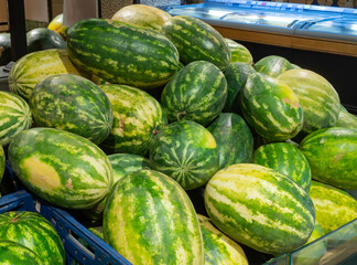 Watermelons on supermarket shelf or farmers market. Fresh organic water melon fruit for sale in grocery store. Healthy fruit for diet, organic food, autumn harvest.