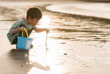 夕方の砂浜で遊ぶ男の子