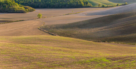 Rolling farmland in Tuscany. Beautiful light of the setting sun.