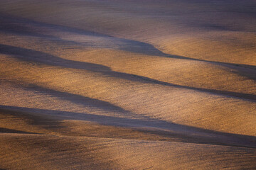 Rolling farmland in Tuscany. Beautiful light of the setting sun.