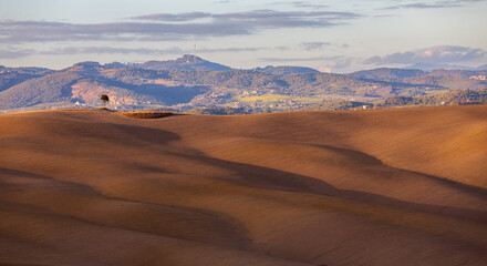 Fototapeta na wymiar Tuscany landscape at sunset, Italy. View of the hills.