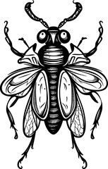 insect cartoon