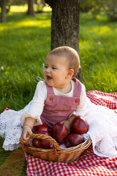 Full length image of a cheerful happy cute baby sit in the apple basket in the park.