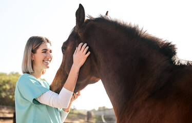 Veterinary, doctor and woman for horse for medical examination, research and health check....