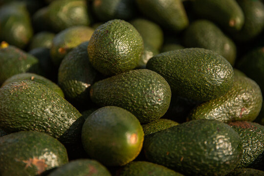avocados at a farmers market