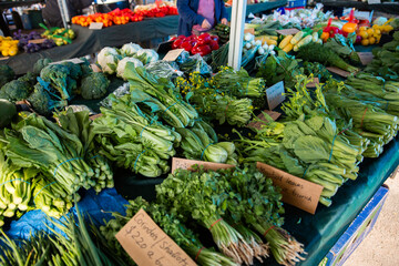 bunches or herbs and leafy greens at a market stall