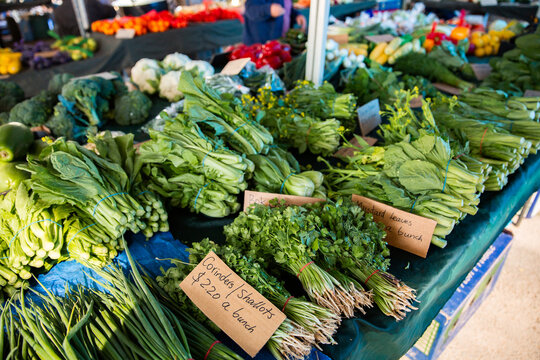 leafy greens for sale at the markets
