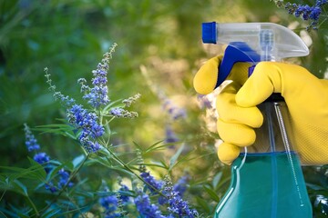 Treatment of flowers from pests, hand hold bottle