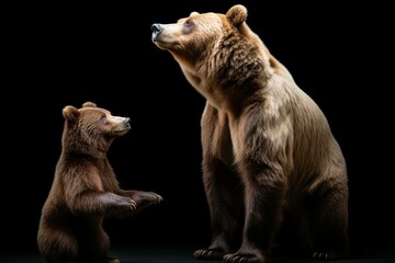 A brown bear standing on its hind legs, while another bear looks at it, against a white background. The brown bear is also isolated on a black background. Generative AI