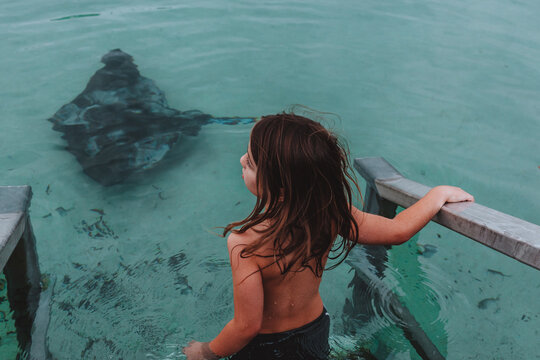 Young boy walking down ocean stairs towards stingray