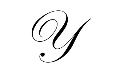 Luxurious Letter Y Logo