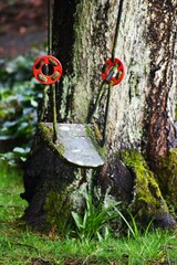 Tree swing in garden