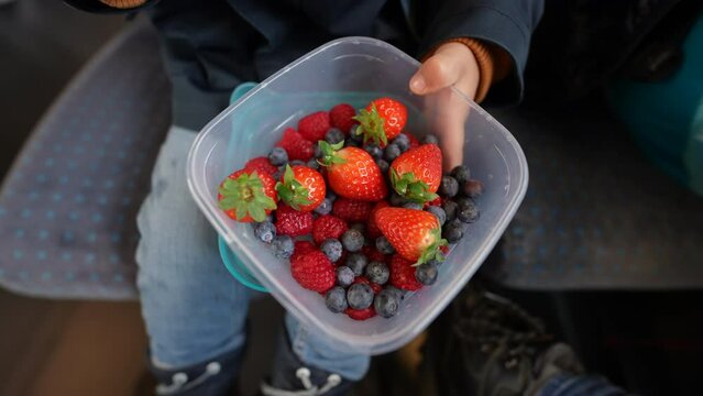 Close-up of child's hand clutching a travel container filled with strawberries and blueberries, seated aboard a train