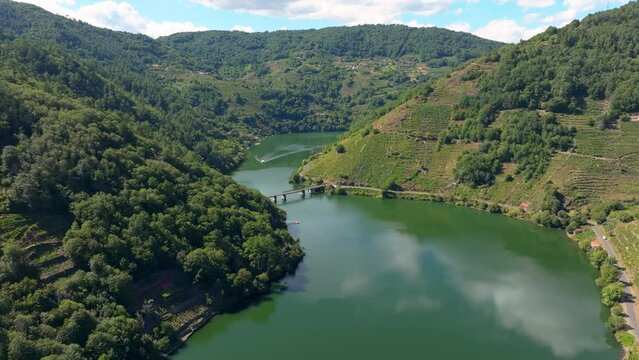 Ponte de Belesar With Sil River And Terraced Vineyards At Summer In Belesar, Lugo, Galicia, Spain. Aerial Drone Shot