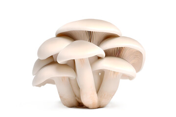 Fresh Mushroom On a Transparent Background, Generative AI