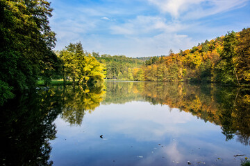 Reservoir in Brno. A forest with autumn colored leaves reflected on the water surface. - obrazy, fototapety, plakaty