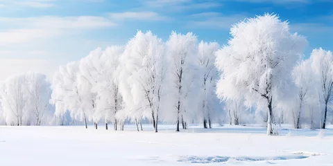 Gardinen Snowy winter road © Zaleman