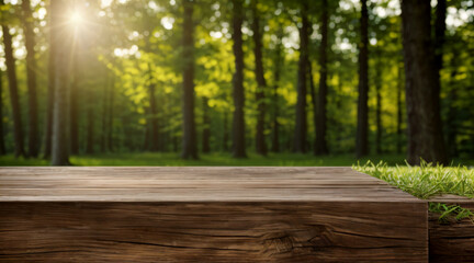 wooden table with nature background