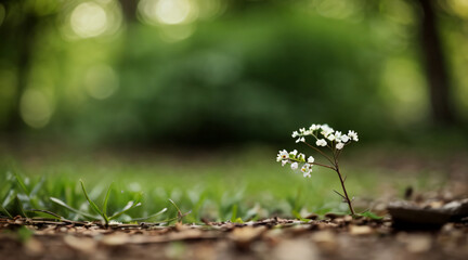 green moss on the ground