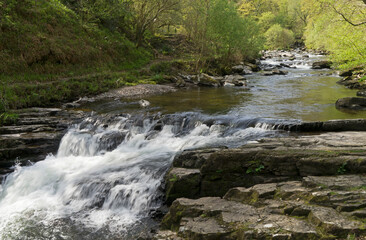 Waterfall in the forest of Exmoor