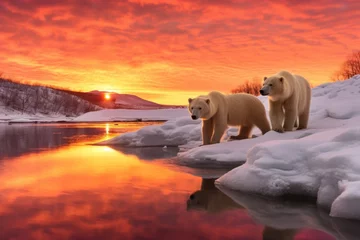 Fotobehang polar bears under the mesmerizing glow of winter solstice sunset © Natalia